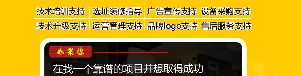 饼系列